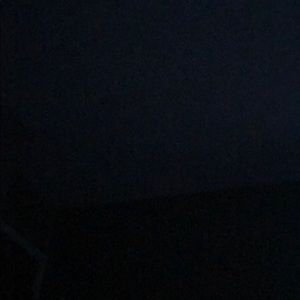 Meet your Posher, Lizzy